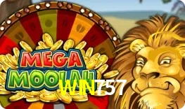 Mega Moolah